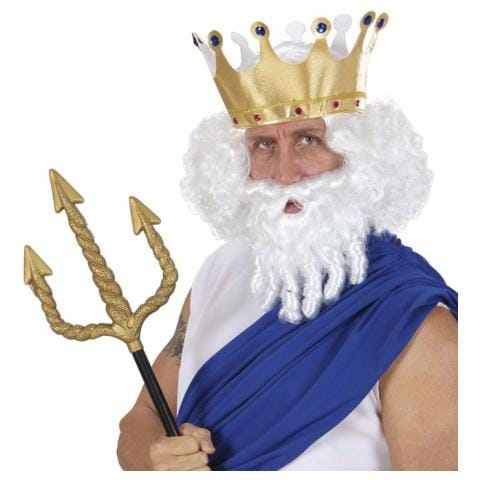 parrucca e barba poseidone dio +barba - Foto 1