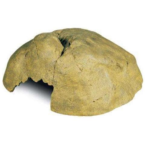 Reptile Cave Large, Rifugio Per Rettili In Resina - Foto 1