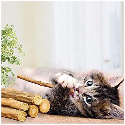 Cat Catnip Sticks 100 Organici Naturali Matatabi Dentali Tratta Digrignamento Dei Denti Giocattoli Di Masticazione Olfattivo Di Arricchimento Per Il Gatto Confezione Da 30 Pezzi - Foto 4