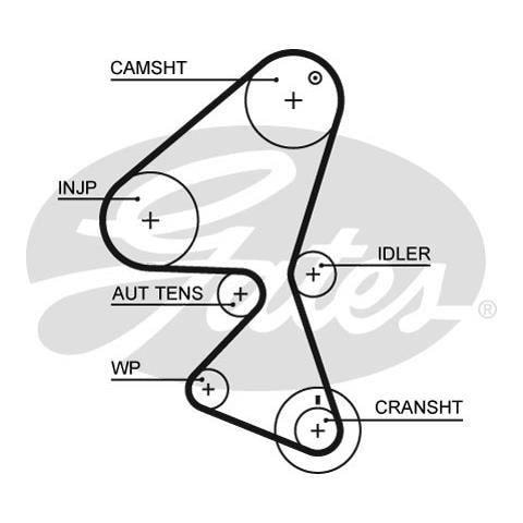 Distribut Cinghia 5587xs - Foto 1