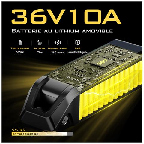 Q7 Elettrica per Adulti, Motore 250W, Batteria Rimovibile 36V 10Ah, Velocità Massima 25km /h, Trasmissione a 7 marce, Elettrica City E-Bike da 26 pollici - Foto 8