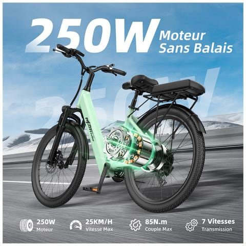 24'' Elettrica per Adulti, Bicicletta Rimuovibile 36V 13Ah con Motore 250W, Elettrica per Donne - Foto 7