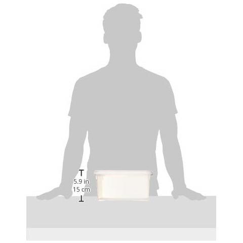 Scatola Contenitore ""more"", Con Coperchio, Capacità 6 L Trasparente / Argento - Foto 2