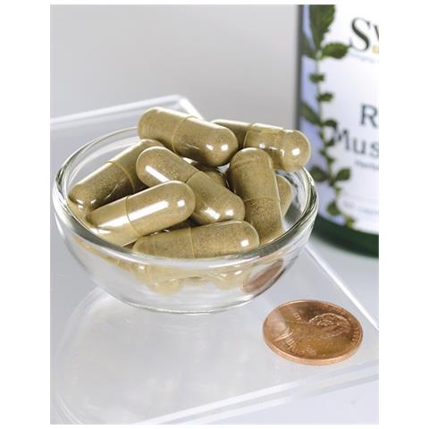 Fungo Reishi 600 Mg 60 Capsule Vegetali Swanson Health Products - Foto 2