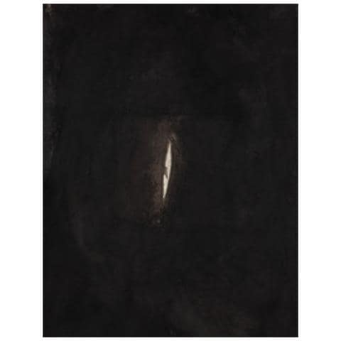 Giulio Manieri Elia - Anish Kapoor. Ediz. italiana - Foto 1