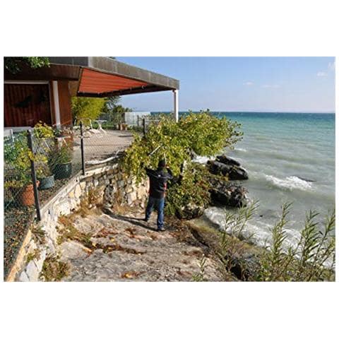 6995610 Cesoie potatura, 2 Mani - Foto 2