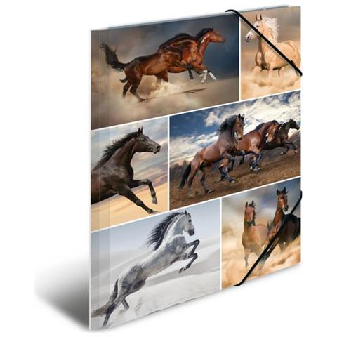 19209 Cartoncino Multicolore cartella - Foto 1