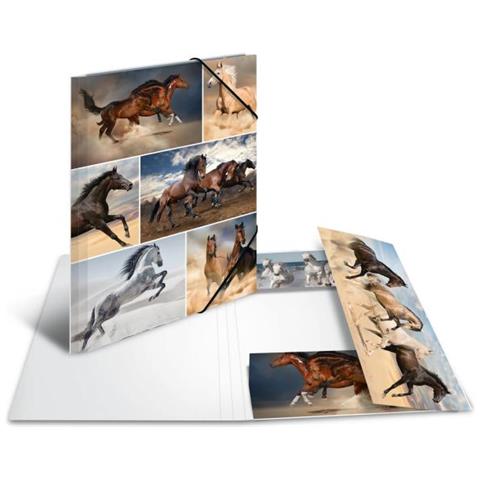 19209 Cartoncino Multicolore cartella - Foto 3