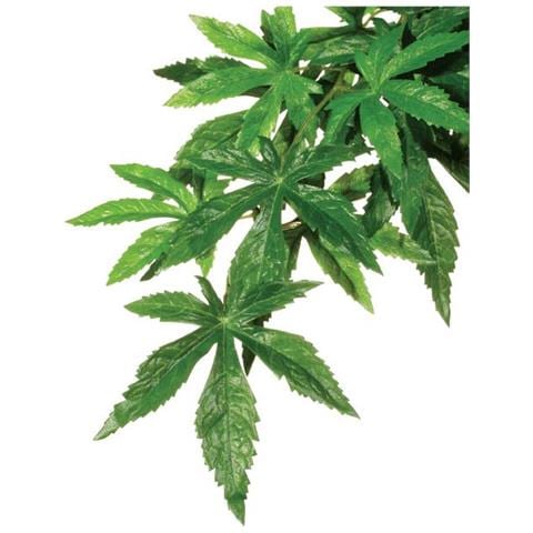 Abutilon Medium, Pianta Artificiale Da Giungla - Foto 1