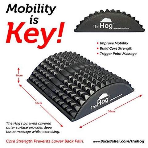 Il Hog - Ab Mat Pilates Hedgehog Formazione Indietro Barella Addominale Trainer - Foto 4