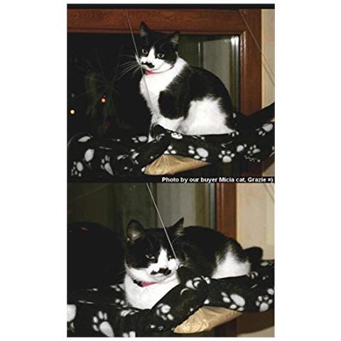 Finestra Montata Gatto Crogiolarsi Amaca Gatto Coperta Letto Ventosa Pet Pensile E Pet Coperta Nera Per Pesce Persico Gatto - Foto 2