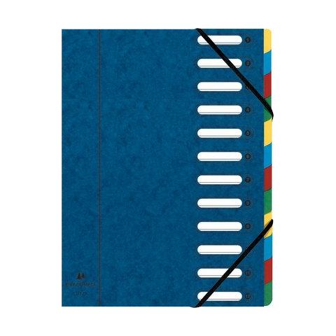 pz. 1 Cartelle con divisori Harmonika. blu A4 55122E - Foto 1