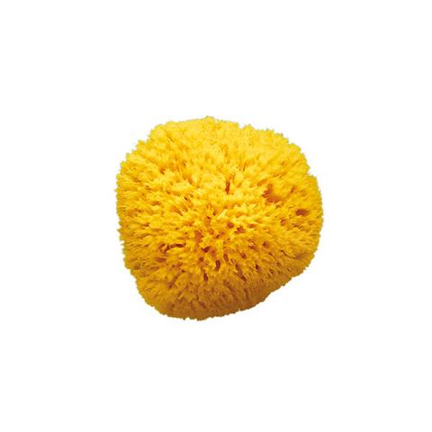 Spugna Bagno Arcipelago Mis. 12 - Foto 1