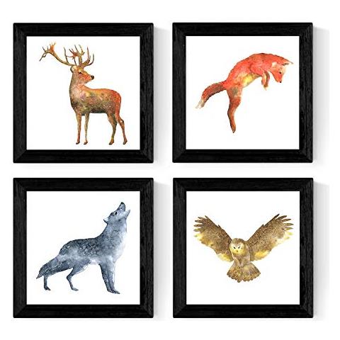 Set Di 4 Stampe Animali Fogli Cornice Nera 25x25 Cm - Foto 1
