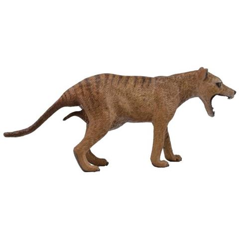 Tilacino Della Tasmania 11,6 X 4,8 Cm Marrone - Foto 1