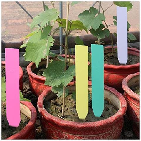 120 Pz 10 X 2 Cm Colored Impianto Tags Plastica Etichette Della Pianta Impermeabili E Marcatori Per Garden Herb. . . - Foto 4
