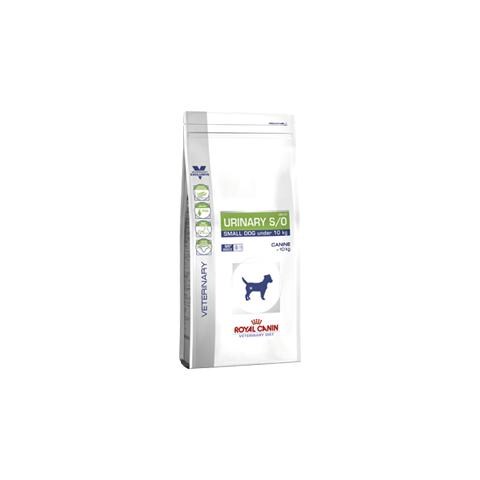 Cibo per Cani Royal Canin Urinary S / O Small Dog 1,5 kg - Foto 1