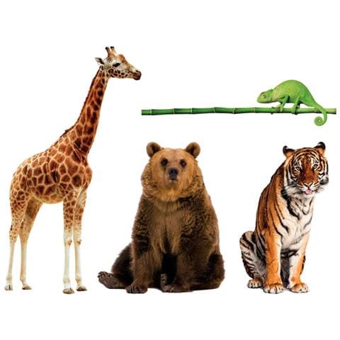 Giocattolo Educativo - Foto 2