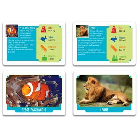 Giocattolo Educativo - Foto 4