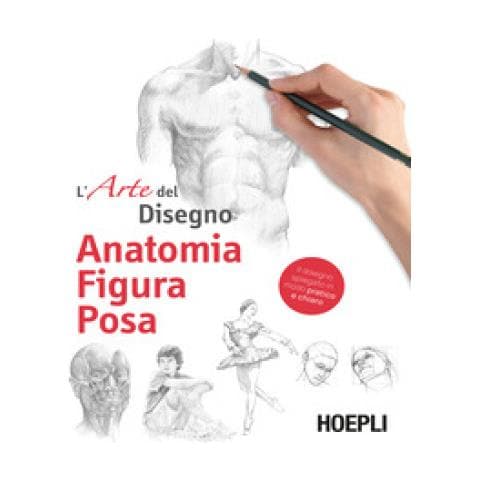 Caterina Grimaldi - Anatomia, figura, posa. L'arte del disegno. Ediz. illustrata - Foto 1