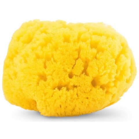 Chicoo Natural Esponja Marina - Foto 1