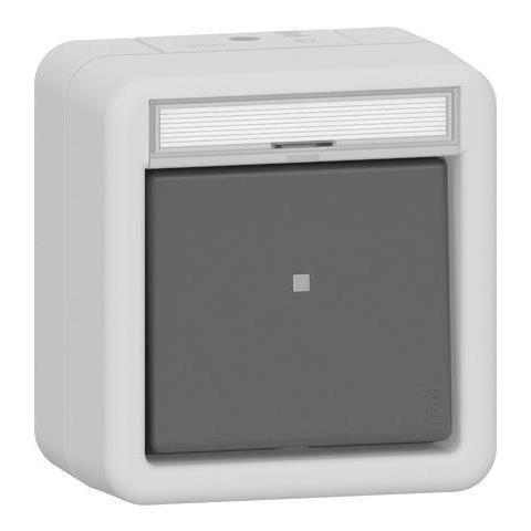 Wippschalter 311630 Kontroll Auswe Bsf Wg Ap Gr (311630) - Foto 1