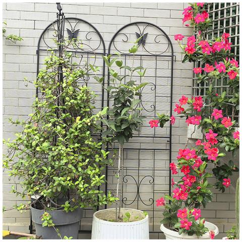 Confezione Da 2 Griglie Da Giardino Per Piante In Metallo, Da Interno / Esterno, Per Piante Rampicanti, Piante In Vaso, Piante Da Appartamento, Schermo Decorativo Per Recinzione Da Giardino - Foto 1