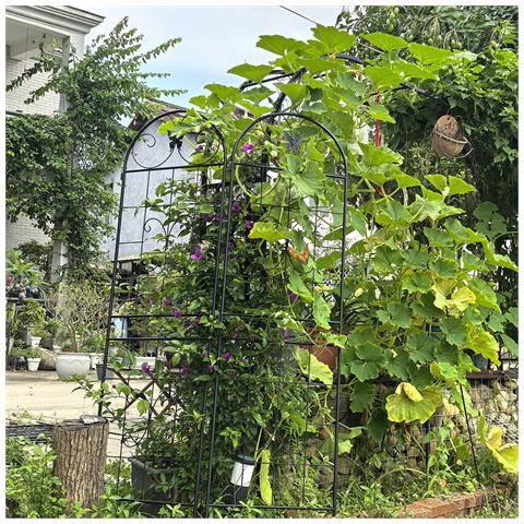 Confezione Da 2 Griglie Da Giardino Per Piante In Metallo, Da Interno / Esterno, Per Piante Rampicanti, Piante In Vaso, Piante Da Appartamento, Schermo Decorativo Per Recinzione Da Giardino - Foto 2