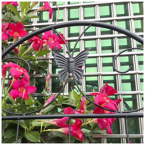 Confezione Da 2 Griglie Da Giardino Per Piante In Metallo, Da Interno / Esterno, Per Piante Rampicanti, Piante In Vaso, Piante Da Appartamento, Schermo Decorativo Per Recinzione Da Giardino - Foto 4