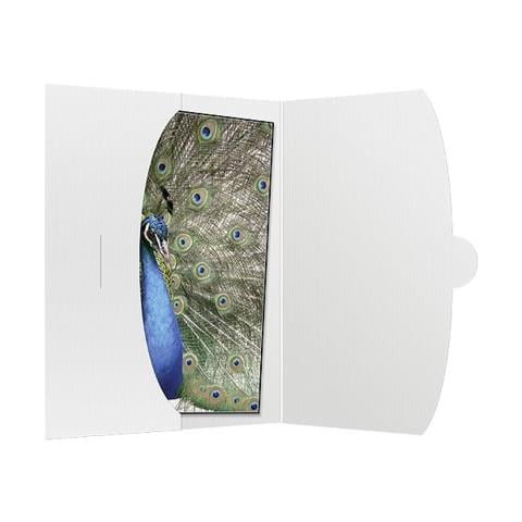 1x50 Daiber Cover 15x20 white - Foto 1