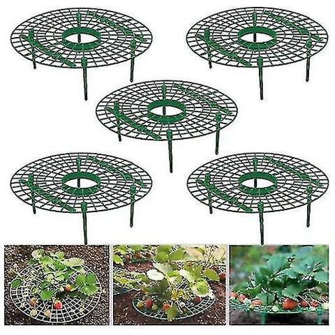 20 Supporti Portafragole Con Gambo - Proteggi Le Tue Fragole Da Lumache E Polvere - Plastica Resistente (Diametro 27 Cm)