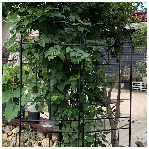 Confezione Da 2 Griglie Da Giardino Per Piante In Metallo, Interno/esterno, Per Piante Rampicanti, Piante In Vaso, Piante Da Appartamento, Schermo Decorativo Per Recinzione Da Giardino - Foto 1