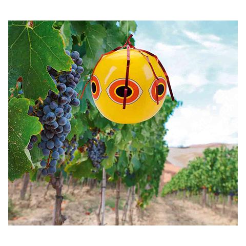 Spaventapasseri A Pallone Giallo - Foto 2