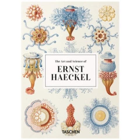 Rainer Willmann - The art and science of Ernst Haeckel. 45th Ed. Ediz. inglese - Foto 1