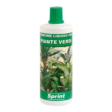 Concime Per Piante Verdi 1000 G - Foto 2
