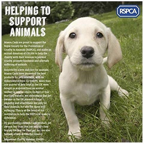 Mason Cat Cash Ciotole Luminosi Colorati Gatto Piattino Heavyweight 13 Cm Diametro Crema - Foto 4