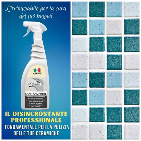 Sani-kal Forte 750ml - Disincrostante Forte Anticalcare - Foto 2