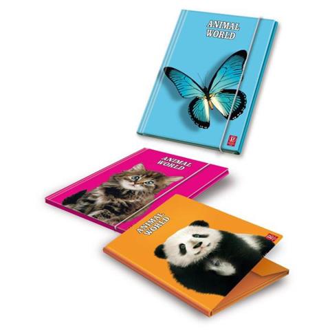 Cf6cartella C / Elastico 3lembi Monoc - Foto 1