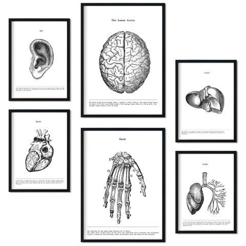 Set Di 6 Stampe Collezione Di Piatti Belies Con Collage Estetico Per La Decorazione D'interni A3 & A4 Senza Cornice - Foto 1