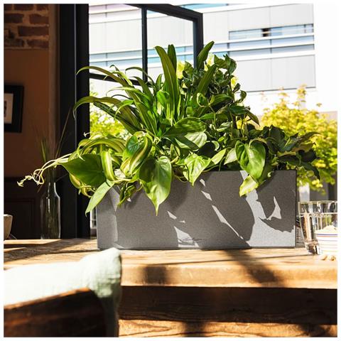 BALCONERA Vaso a cubo Libera installazione Polipropilene (PP) Grigio Interno / esterno - Foto 2