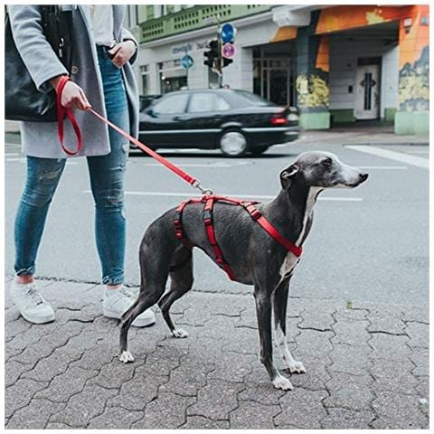 Imbracatura Per Cani 48-70 Cm Rosso S /m 36-51 Cm - Foto 2