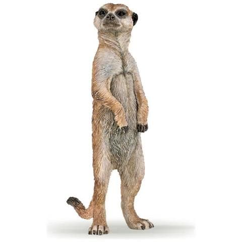 Figurina Meerkat In Piedi - Foto 1