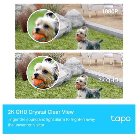 Tapo C420s2 Lampadina Telecamera Di Sicurezza Ip Interno E Esterno 2560 X 1440 Pixel Parete - Foto 4