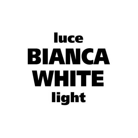 Cp. lamp. 12v. ba15s 21w 1filam Cromo-bianco (p21w)  - Foto 2