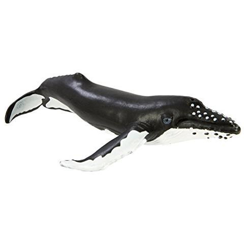 Safari Ltd Wild Safari Sea Life A Megattera A Modello Di Statuetta Giocattolo Realistico Dipinto A Mano A Costruzione Di Qualita Con Materiali Sicuri E Privi Di Bpa A Dai 3 Anni In Su - Foto 1