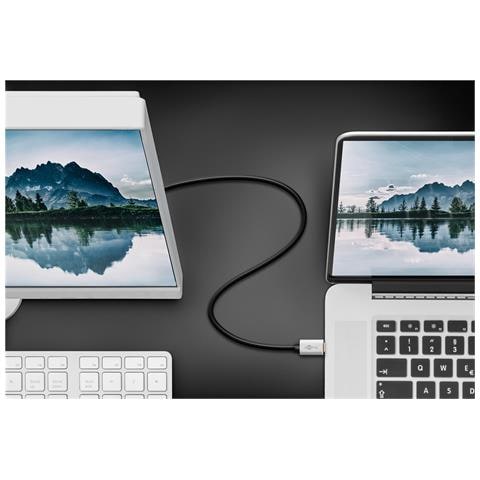 60176 cavo e adattatore video 2 m USB tipo-C DisplayPort Nero, Argento - Foto 2