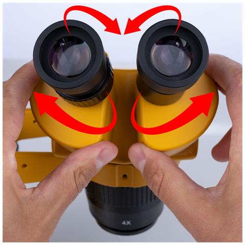 Mikroscopio Stereoscopico Binoculare Ganimedes S - Zoom 20-40x | Oculare Wf10x / 20 | Testa 45° Rotazione 360° | Ottica Greenough - Foto 8