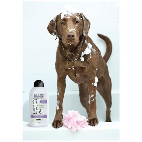 Shampoo Wahl Bianco 750 Ml - Foto 2