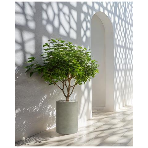 Vaso Per Piante Eucommia 36 Cm Grigio - Foto 1