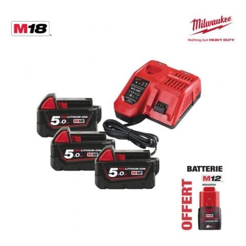 Ricaricabili Batterie Nrj 18v 5.0ah 18v 5.0ah 3 1 Caricatore M12-18fc - 1 2.0ah Batteria M12 Offerto 4.933.451 - Foto 2